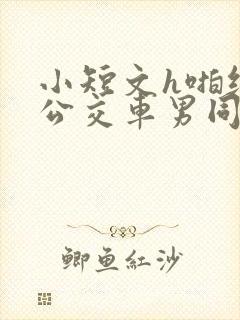 小短文h啪纯肉公交车男同