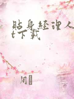 贴身经理人txt下载