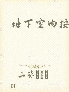 地下室肉按摩椅