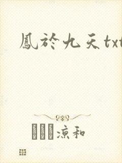 凤于九天txt