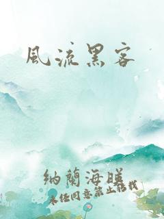 风流黑客