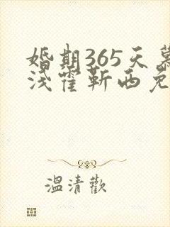 婚期365天慕浅霍靳西免费阅读