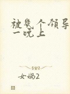 被几个领导玩弄一晚上