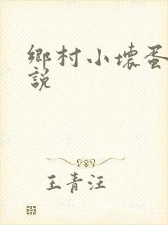乡村小坏蛋 小说