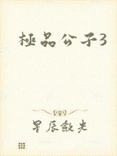 极品公子3