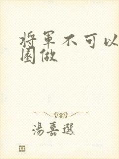 将军不可以在花园做