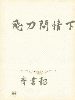 飞刀问情下载