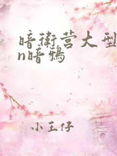 暗卫营大型hpn暗鸦