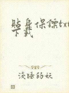 贴身保镖txt下载