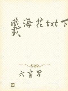 藏海花txt下载