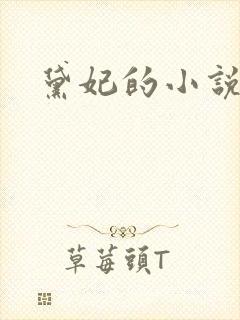 黛妃的小说全文