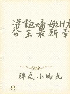 灌饱娇嫩H将军公主最新章节