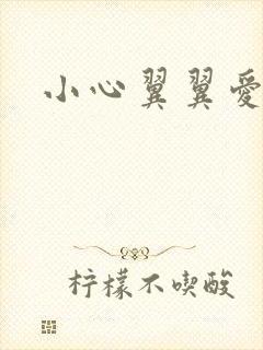 小心翼翼爱上你