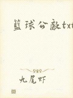 篮球公敌txt