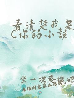 看清楚我是怎么C你的小说