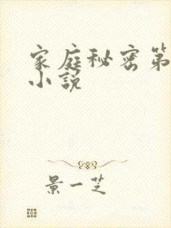 家庭秘密第3集小说