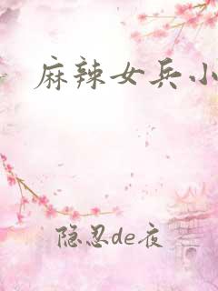 麻辣女兵小说版