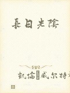 长日光阴