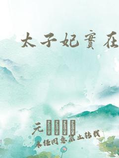 太子妃实在美丽