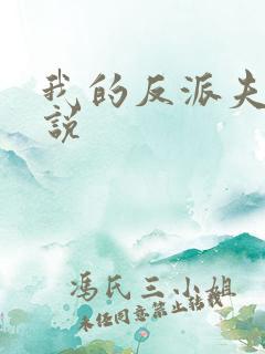 我的反派夫君小说