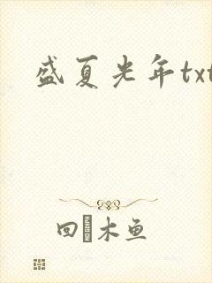 盛夏光年txt