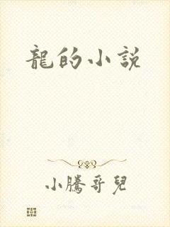 龙的小说