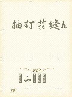 抽打花缝h