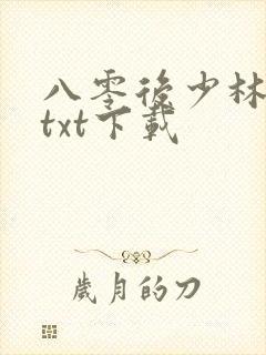 八零后少林方丈txt下载