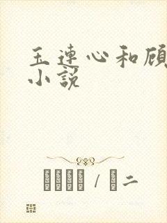 玉连心和顾承泽小说