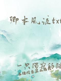 卿本风流txt