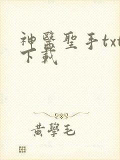 神医圣手txt下载