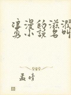 浪漫的滋润刘大勇小说名叫什么?