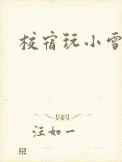 校宿玩小雪
