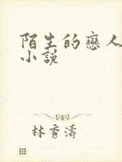 陌生的恋人原著小说