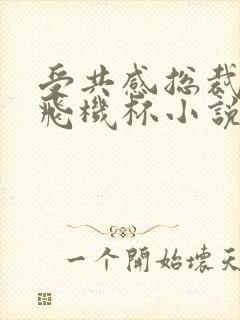 受共感总裁攻的飞机杯小说叫什么