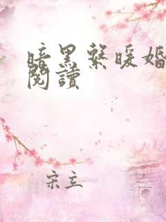 暗黑系暖婚免费阅读