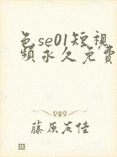 色se01短视频永久免费