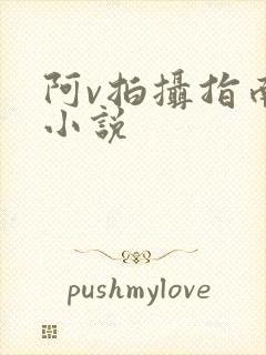 阿v拍摄指南说小说