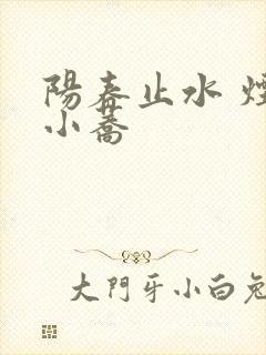 阳春止水 烟树小荞