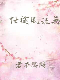 仕途风流无弹窗