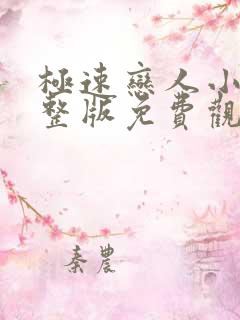 极速恋人小说完整版免费观看