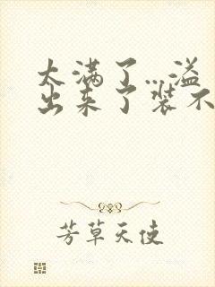 太满了...溢出来了装不下了