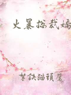火暴总裁娇柔妻
