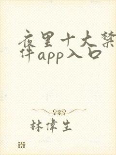 夜里十大禁用软件app入口