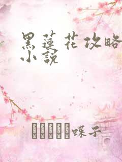黑莲花攻略手册小说