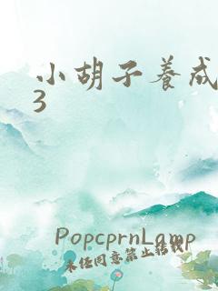 小胡子养成计划3