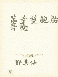 第章双胞胎姐妹齐飞