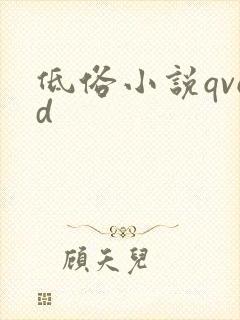 低俗小说qvod