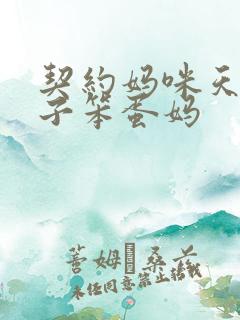 契约妈咪天才儿子笨蛋妈