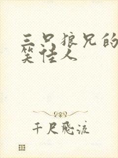 三只狼兄的宠妻笑佳人